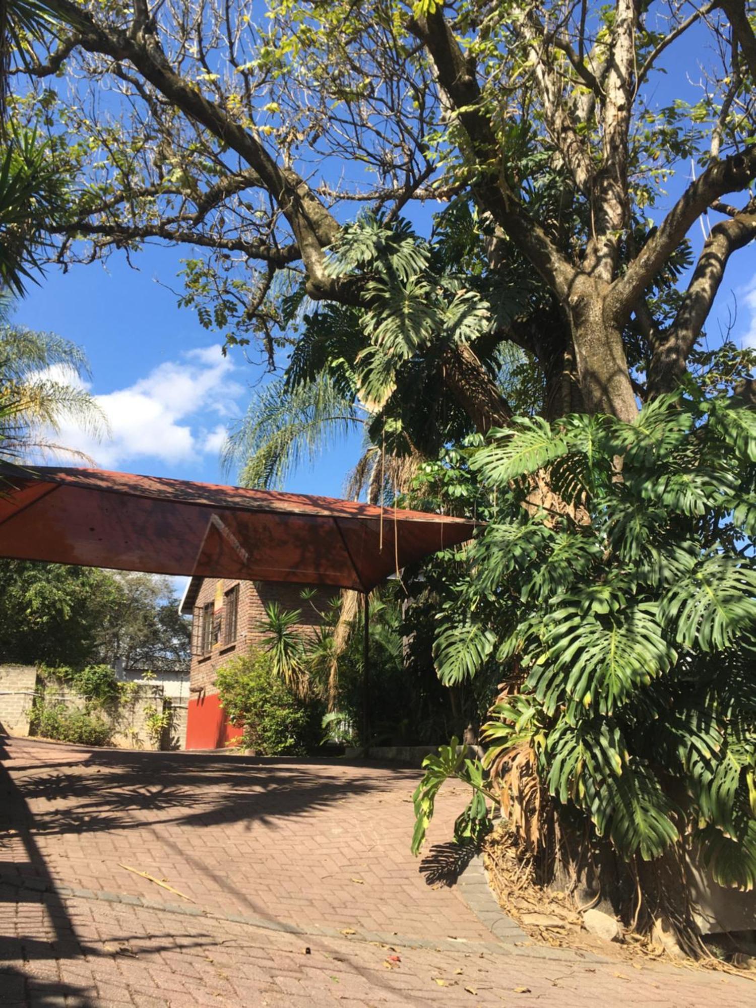 Old Vic Travellers Inn Nelspruit Mbombela ภายนอก รูปภาพ